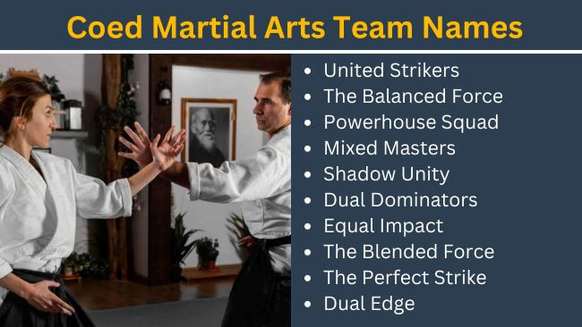 Coed martial arts team names