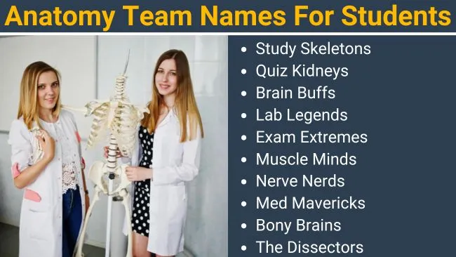 Anatomy Team Names For Students