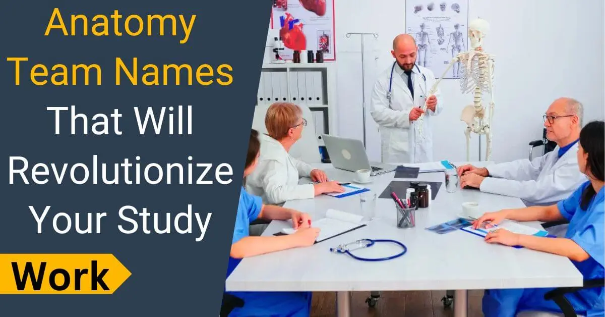 Anatomy Team Names