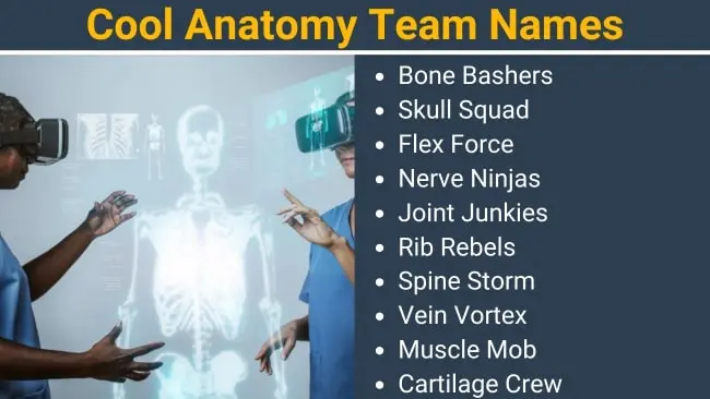 Cool Anatomy Team Names