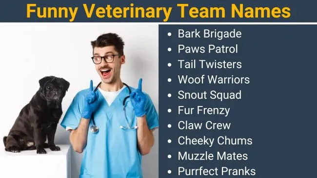 Funny Veterinary Team Names