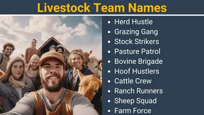 Livestock Team Names