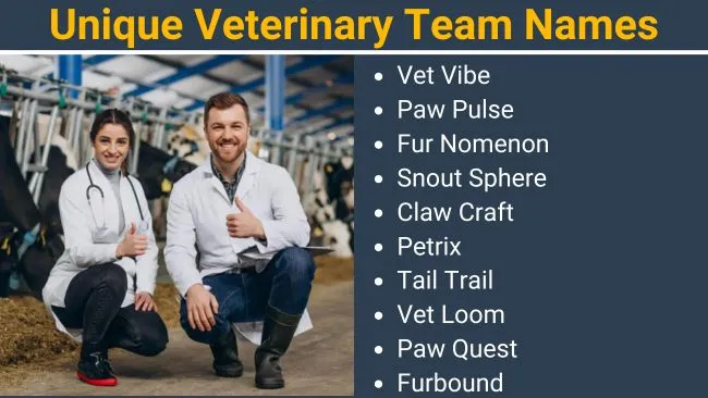 Unique Veterinary Team Names