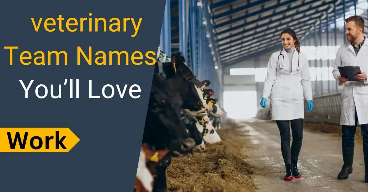 Veterinary Team Names
