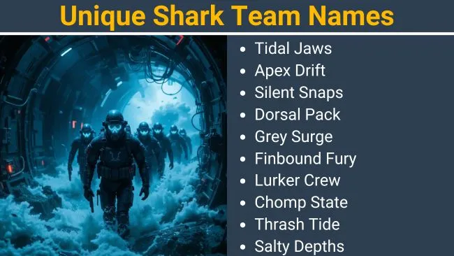 Unique Shark Team Names
