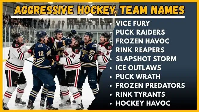 Aggressive Hockey Team Names